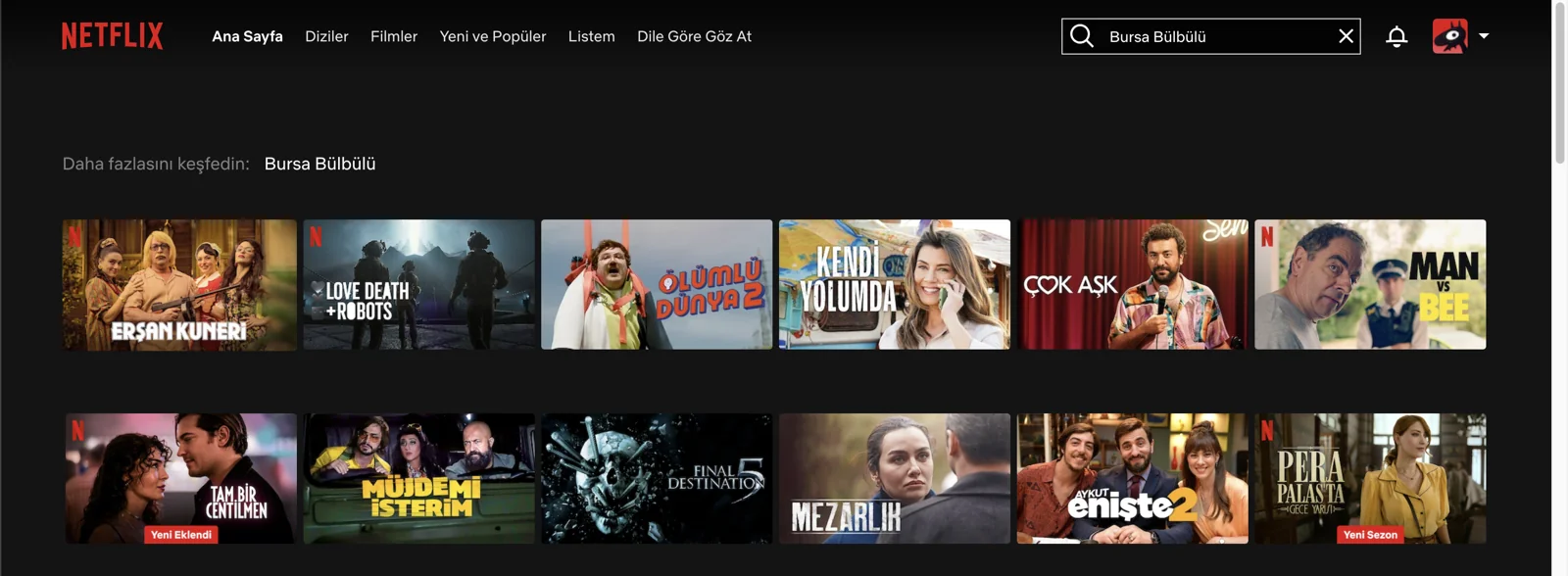Bursa Bülbülü Netflix'in Almanya kütüphanesinde bulunmuyor.